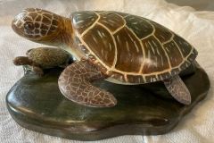 Turtle & Baby - John Donaldson
